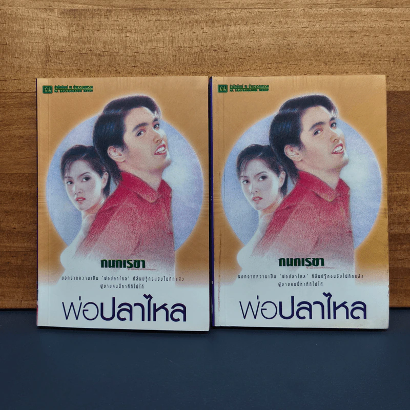 พ่อปลาไหล 2 เล่มจบ - กนกเรขา รูปที่ 1