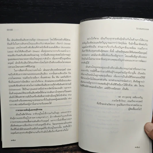 นิราศมหรรณพ - ปราปต์ รูปที่ 8