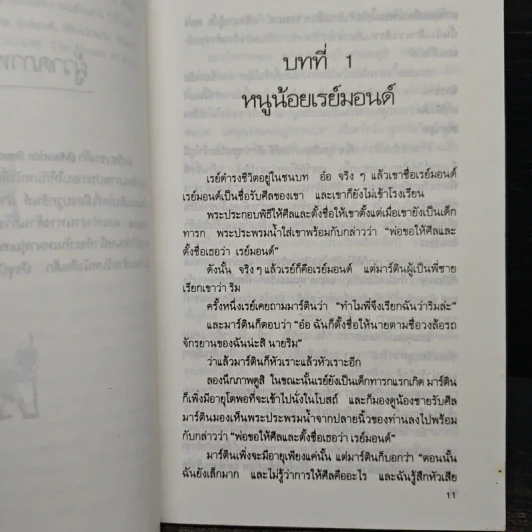 ความลับของเรย์มอนด์ - เมนเดิร์ต เดอย็องก์ (Meindert DeJong) รูปที่ 9
