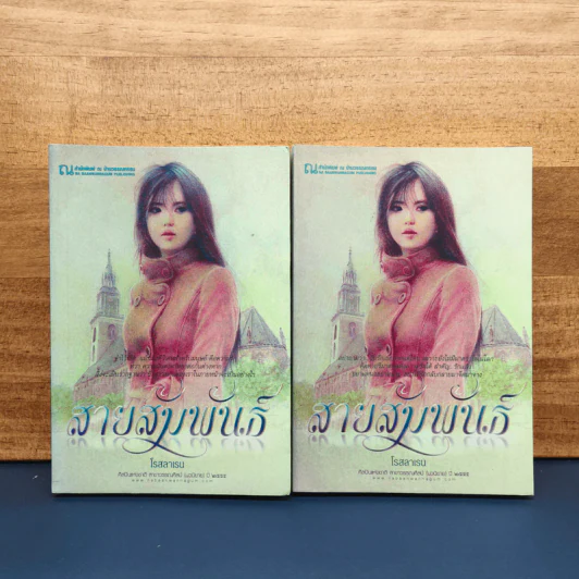 สายสัมพันธ์ 2 เล่มจบ - โรสลาเรน รูปที่ 1