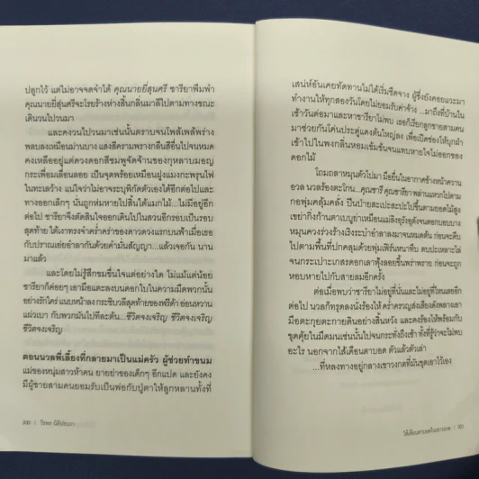 ไส้เดือนตาบอดในเขาวงกต - วีรพร นิติประภา รูปที่ 9