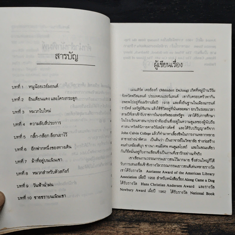 ความลับของเรย์มอนด์ - เมนเดิร์ต เดอย็องก์ (Meindert DeJong) รูปที่ 8