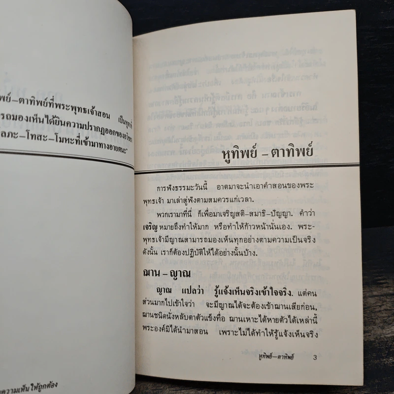 พลิกโลกเหนือความคิด - หลวงพ่อเทียน จิตฺตสุโภ รูปที่ 9