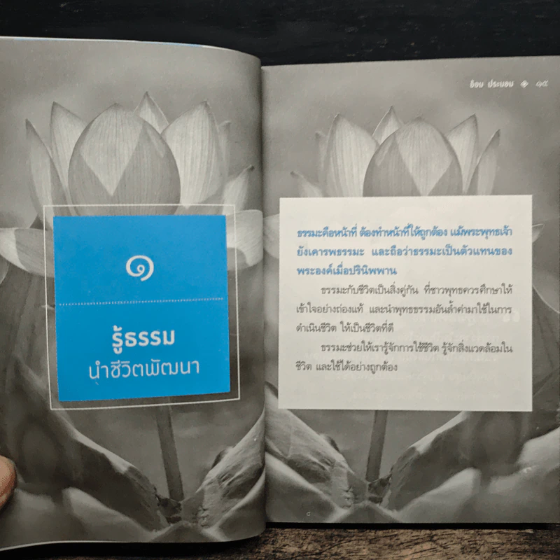 พลังธรรมพลังคำ - อ้อม ประนอม รูปที่ 8