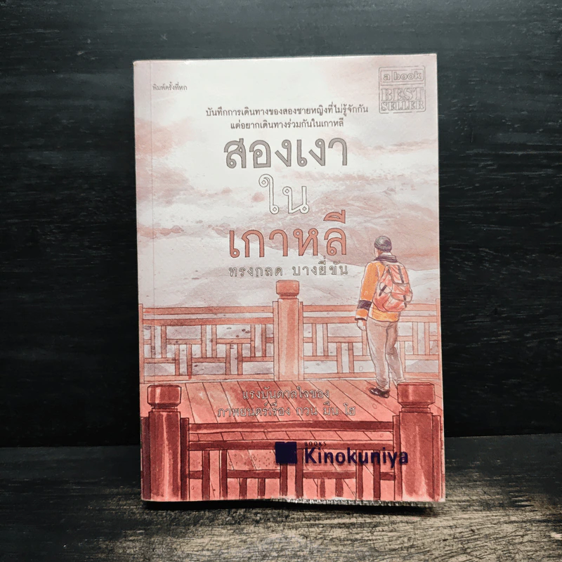สองเงาในเกาหลี - ทรงกลด บางยี่ขัน รูปที่ 1