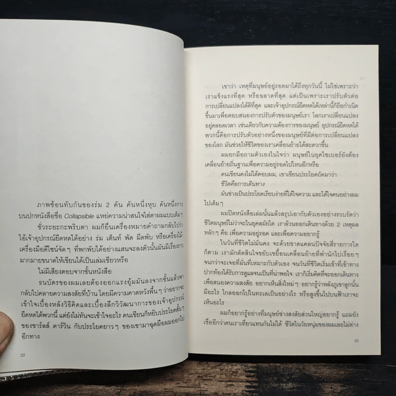 สองเงาในเกาหลี - ทรงกลด บางยี่ขัน รูปที่ 8