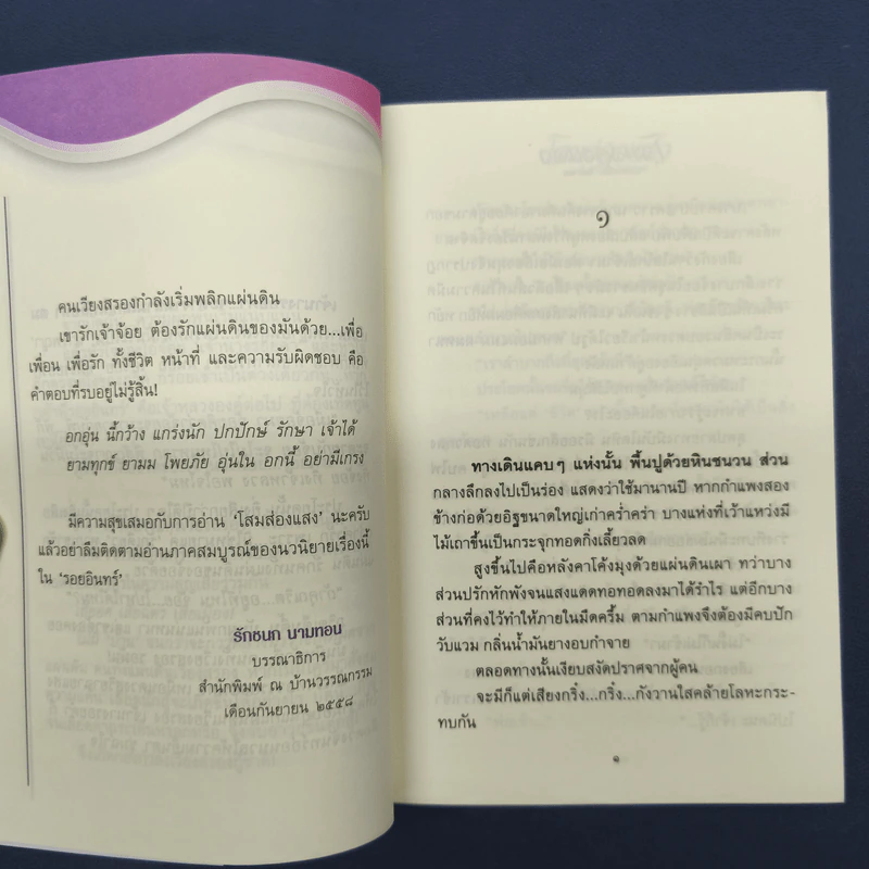 โสมส่องแสง 2 เล่มจบ - โรสลาเรน รูปที่ 8