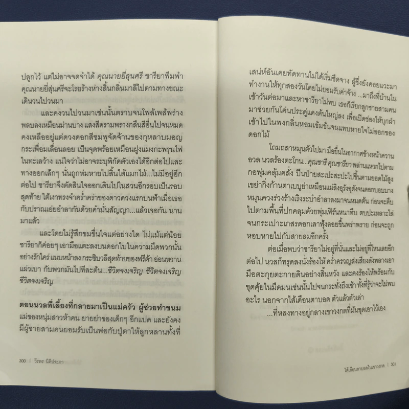 ไส้เดือนตาบอดในเขาวงกต - วีรพร นิติประภา รูปที่ 9
