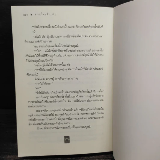 ดวงใจเจ้าเอ๋ย - ดวงตะวัน รูปที่ 8