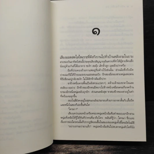 ดวงใจเจ้าเอ๋ย - ดวงตะวัน รูปที่ 7