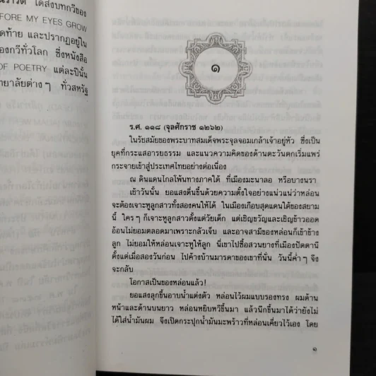 เมืองแม่ - นราวดี รูปที่ 7