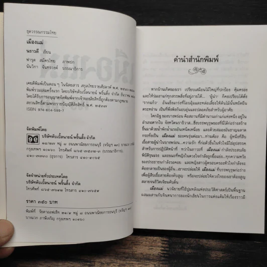 เมืองแม่ - นราวดี รูปที่ 6