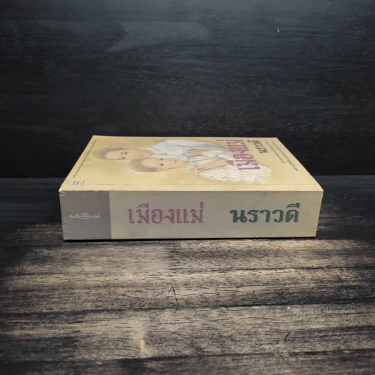 เมืองแม่ - นราวดี รูปที่ 3