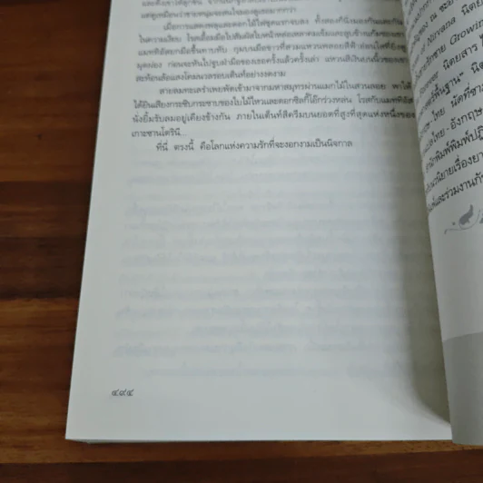 แมวน้อยสื่อรักซานโตรินี - ณ ชะอำ รูปที่ 9