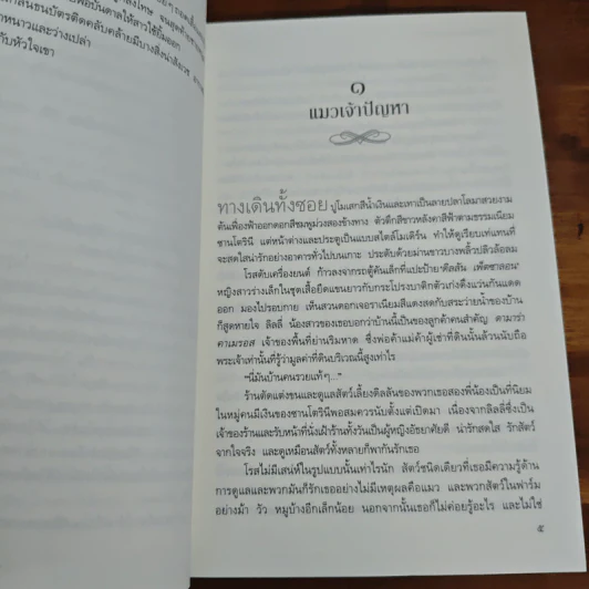 แมวน้อยสื่อรักซานโตรินี - ณ ชะอำ รูปที่ 7