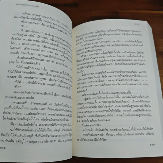 แมวน้อยสื่อรักซานโตรินี - ณ ชะอำ รูปที่ 8