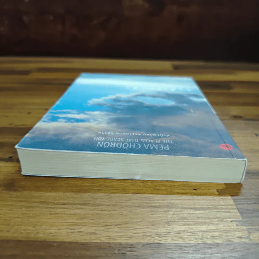 ใจที่เธอกลัว : คู่มือความกล้าในช่วงเวลายากลำบาก - Pema Chodron (เพม่า โชดรัน), อัญชลี คุรุรัช รูปที่ 5