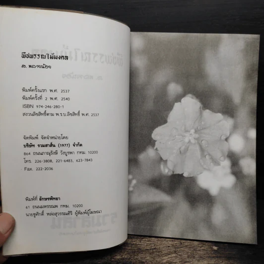 พืชพรรณไม้มงคล - ส.พลายน้อย รูปที่ 6