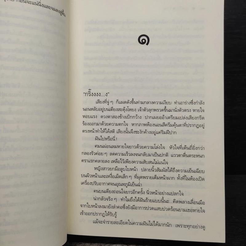 เพลิงพราย - อรพิม รูปที่ 8