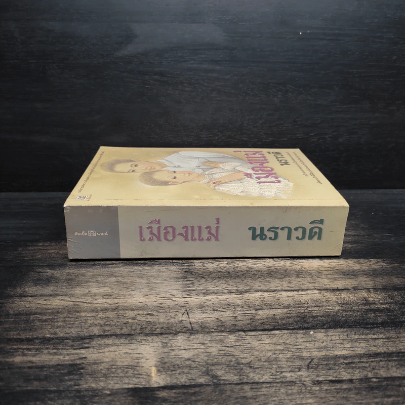 เมืองแม่ - นราวดี รูปที่ 3