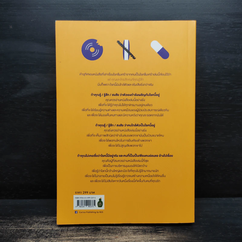 ฮาวทู(ซึม)เศร้า: คู่มือคนเศร้าฉบับอ่านสนุกที่สุด - John Moe รูปที่ 2
