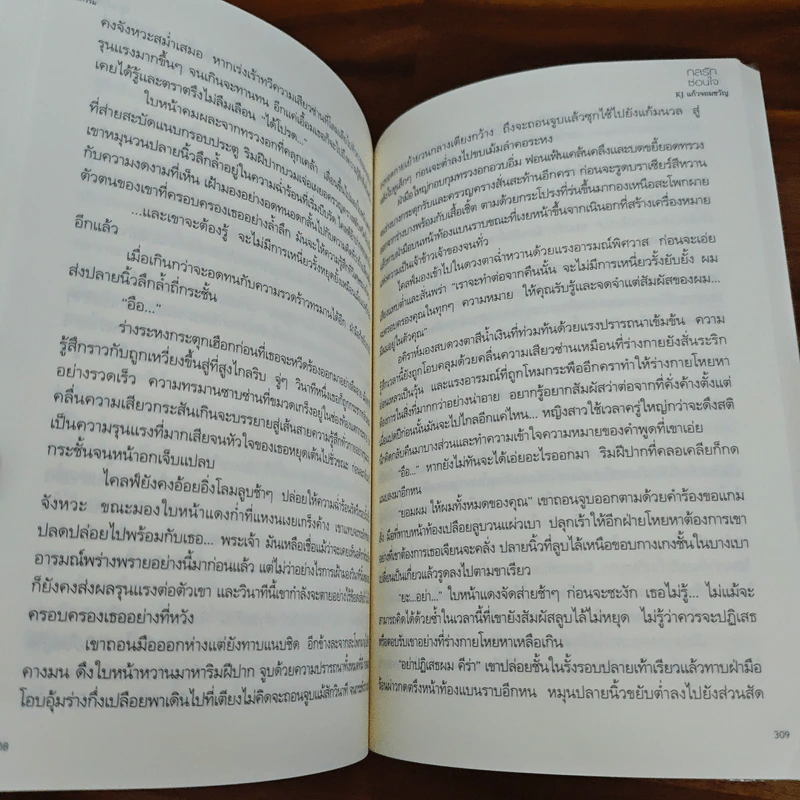 กลรักซ่อนใจ - แก้วจอมขวัญ รูปที่ 8