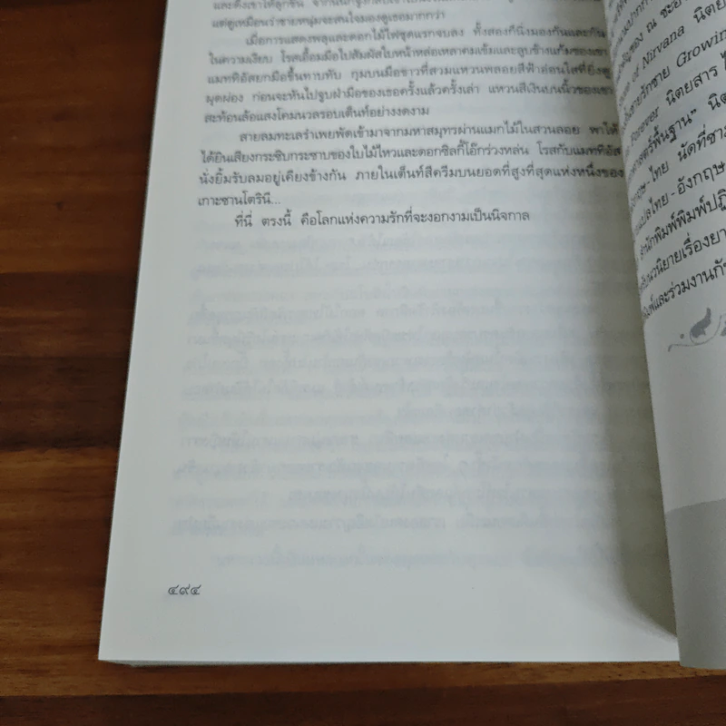 แมวน้อยสื่อรักซานโตรินี - ณ ชะอำ รูปที่ 9