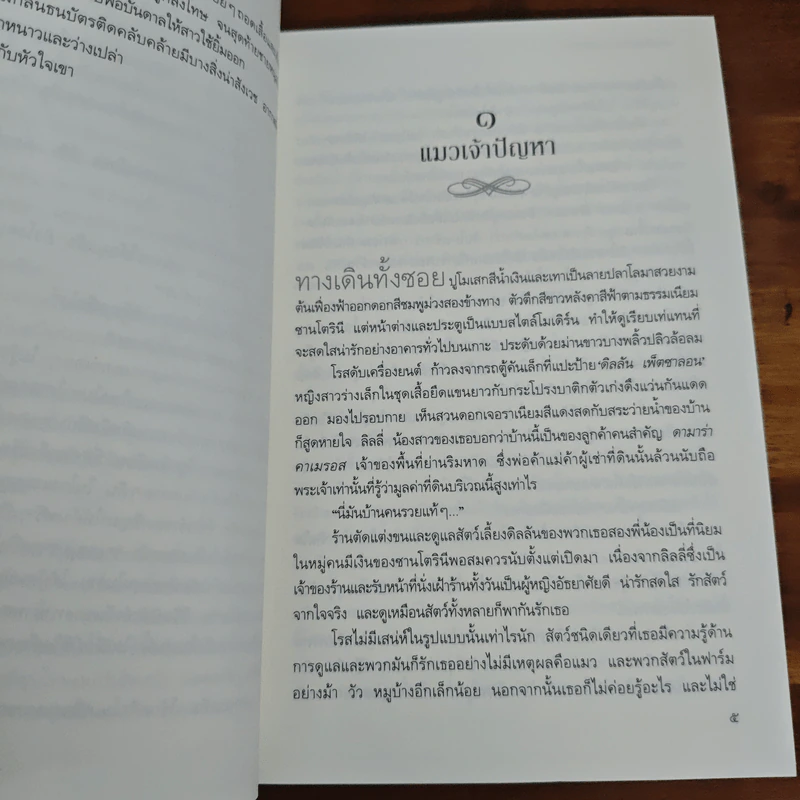 แมวน้อยสื่อรักซานโตรินี - ณ ชะอำ รูปที่ 7