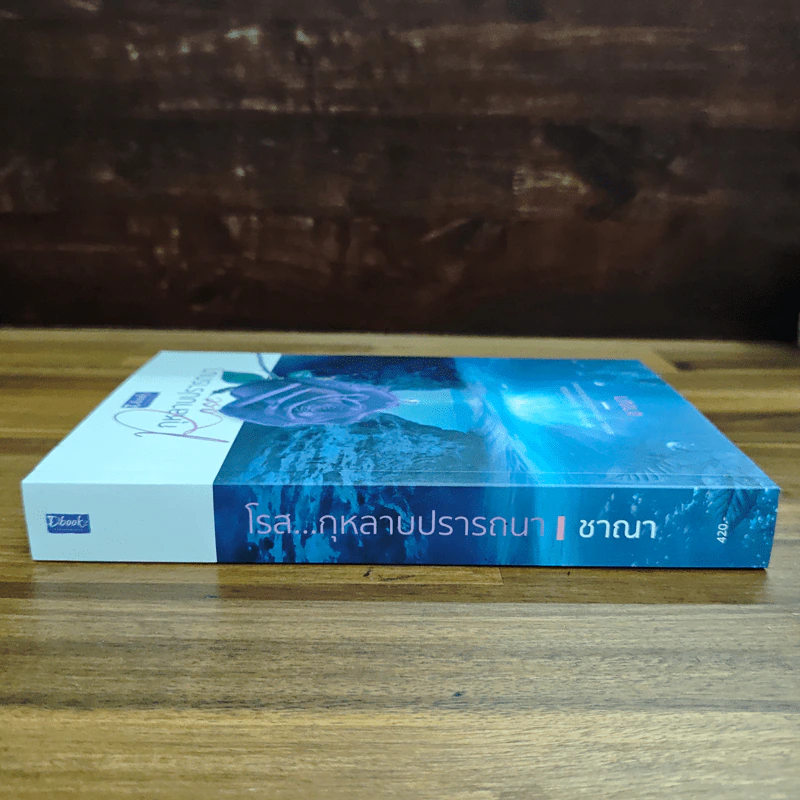 โรส...กุหลาบปรารถนา - ชาณา รูปที่ 3