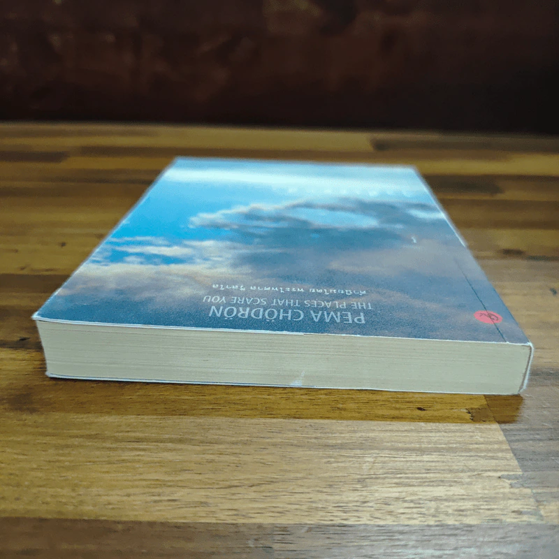 ใจที่เธอกลัว : คู่มือความกล้าในช่วงเวลายากลำบาก - Pema Chodron (เพม่า โชดรัน), อัญชลี คุรุรัช รูปที่ 5