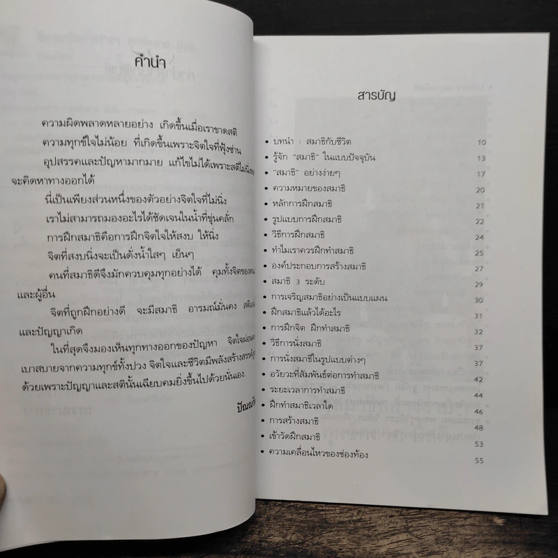 ฝึกสมาธิอย่างง่ายๆ ทุกข์คลาย มีสติ - ปัณณวัฒน์ รูปที่ 7