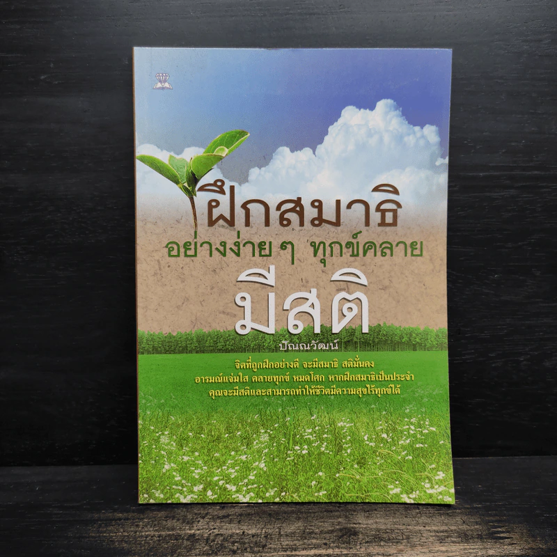 ฝึกสมาธิอย่างง่ายๆ ทุกข์คลาย มีสติ - ปัณณวัฒน์ รูปที่ 1