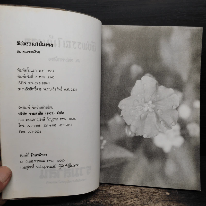 พืชพรรณไม้มงคล - ส.พลายน้อย รูปที่ 6