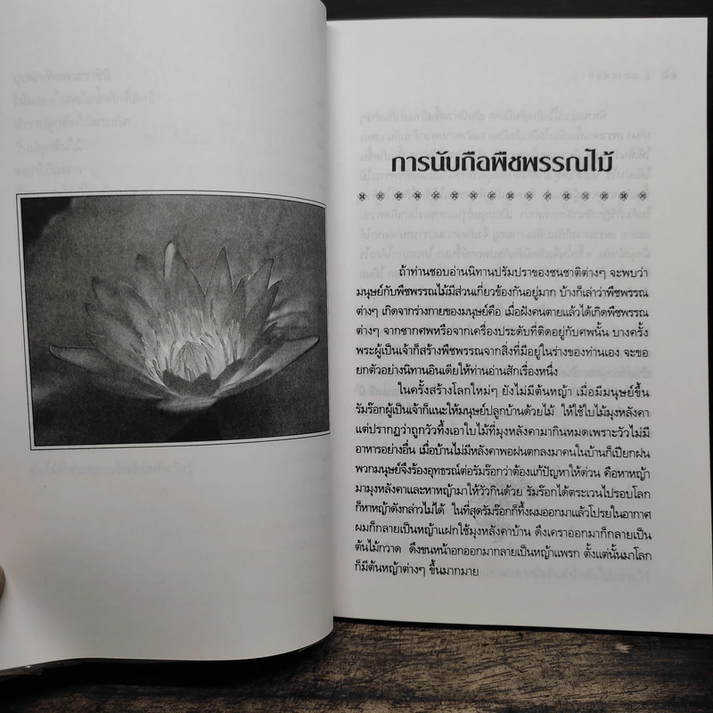 พืชพรรณไม้มงคล - ส.พลายน้อย รูปที่ 9