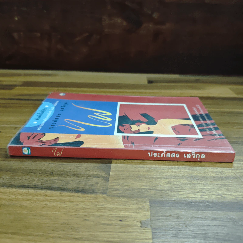 ไฟ - ประภัสสร เสวิกุล รูปที่ 3