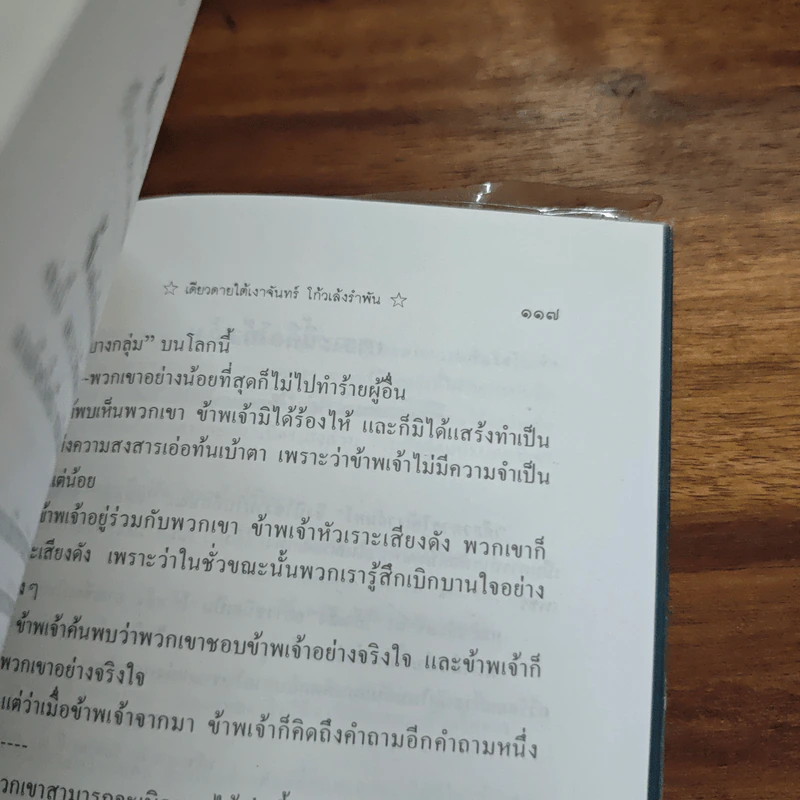 เดียวดายใต้เงาจันทร์ - โก้วเล้งรำพัน รูปที่ 9