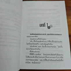 แม่เมือง - นันทนา วีระชน รูปที่ 7