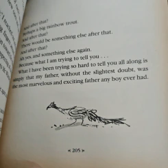 Danny, the Champion of the World - Roald Dahl รูปที่ 11