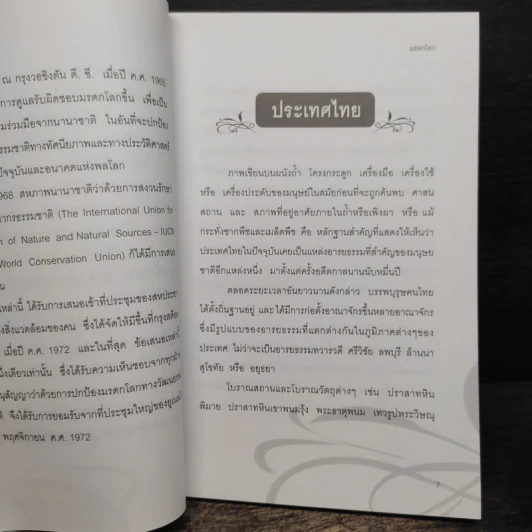 มรดกโลก - อภิชาติ บัวกิจ รูปที่ 8