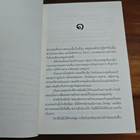 แสงรักจากสายฟ้า - ดวงตะวัน รูปที่ 7
