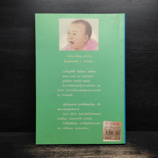 คู่มือเลี้ยงลูกยุคใหม่ - รักษิณา รูปที่ 2