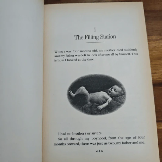 Danny, the Champion of the World - Roald Dahl รูปที่ 9