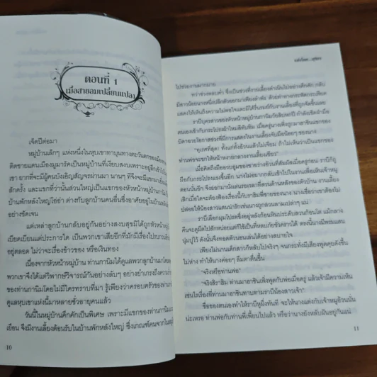 มารุตาลิขิตรัก - มุทิกา รูปที่ 7