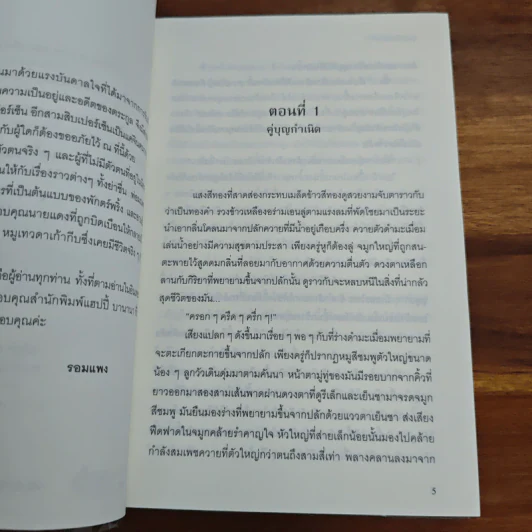 ลูกทุ่งโมดิฟายด์ - รอมแพง รูปที่ 7