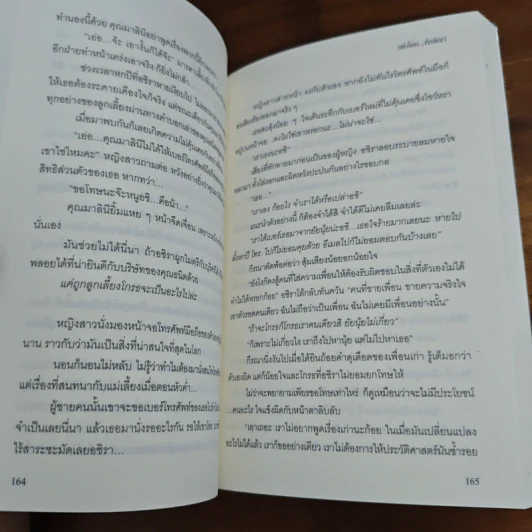 กลแรกรัก - ทักษิณา รูปที่ 8