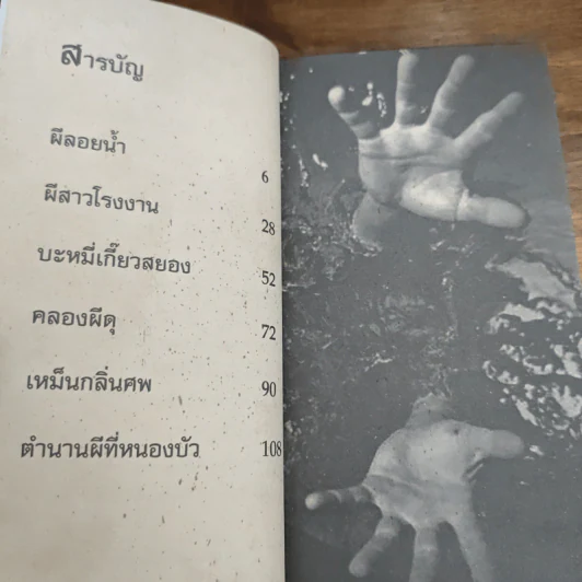 ผีลอยน้ำ - หลวงพี่ฟอร์ด รูปที่ 7