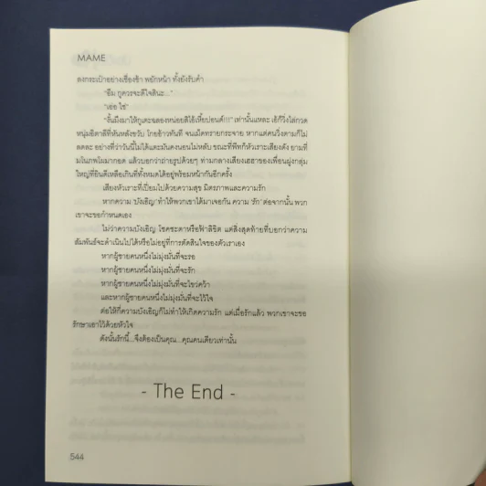 My Accidental Love is You รักนี้บังเอิญคือคุณ 2 เล่มจบ - MAME รูปที่ 9