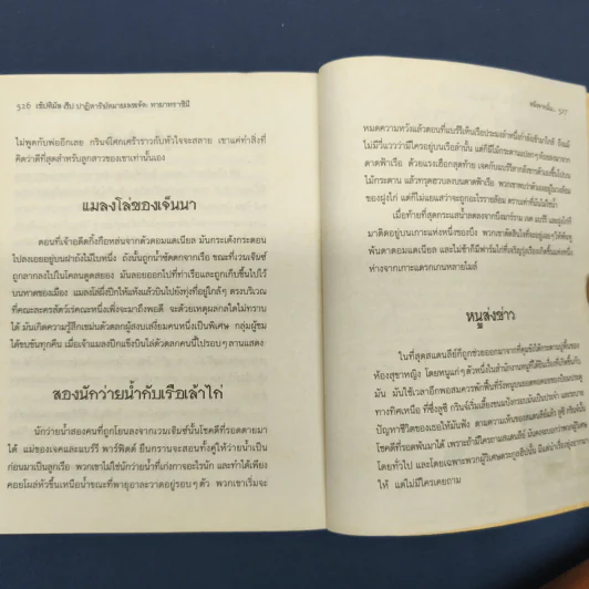 เซ็ปติมัส ฮีป ปาฏิหาริย์หมายเลขเจ็ด ตอน ทายาทราชินี เล่ม 1 - Angie Sage รูปที่ 9