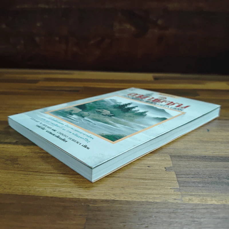 สมาธิเซน - STEWART WHOLMES , CHIMYO HORIOKA, เหล่าซือ รูปที่ 4