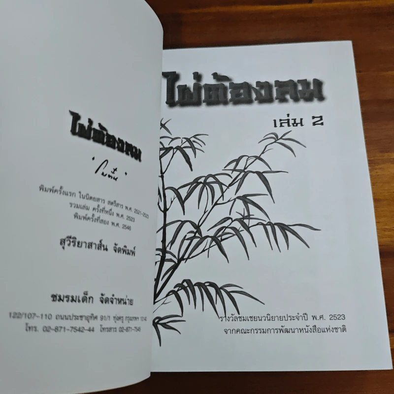 ไผ่ต้องลม เล่ม 2 - โบตั๋น รูปที่ 6